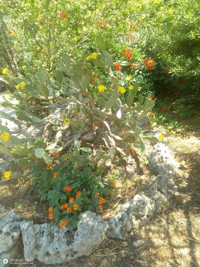 Sirens Kalami Βίλα Kalámion Εξωτερικό φωτογραφία